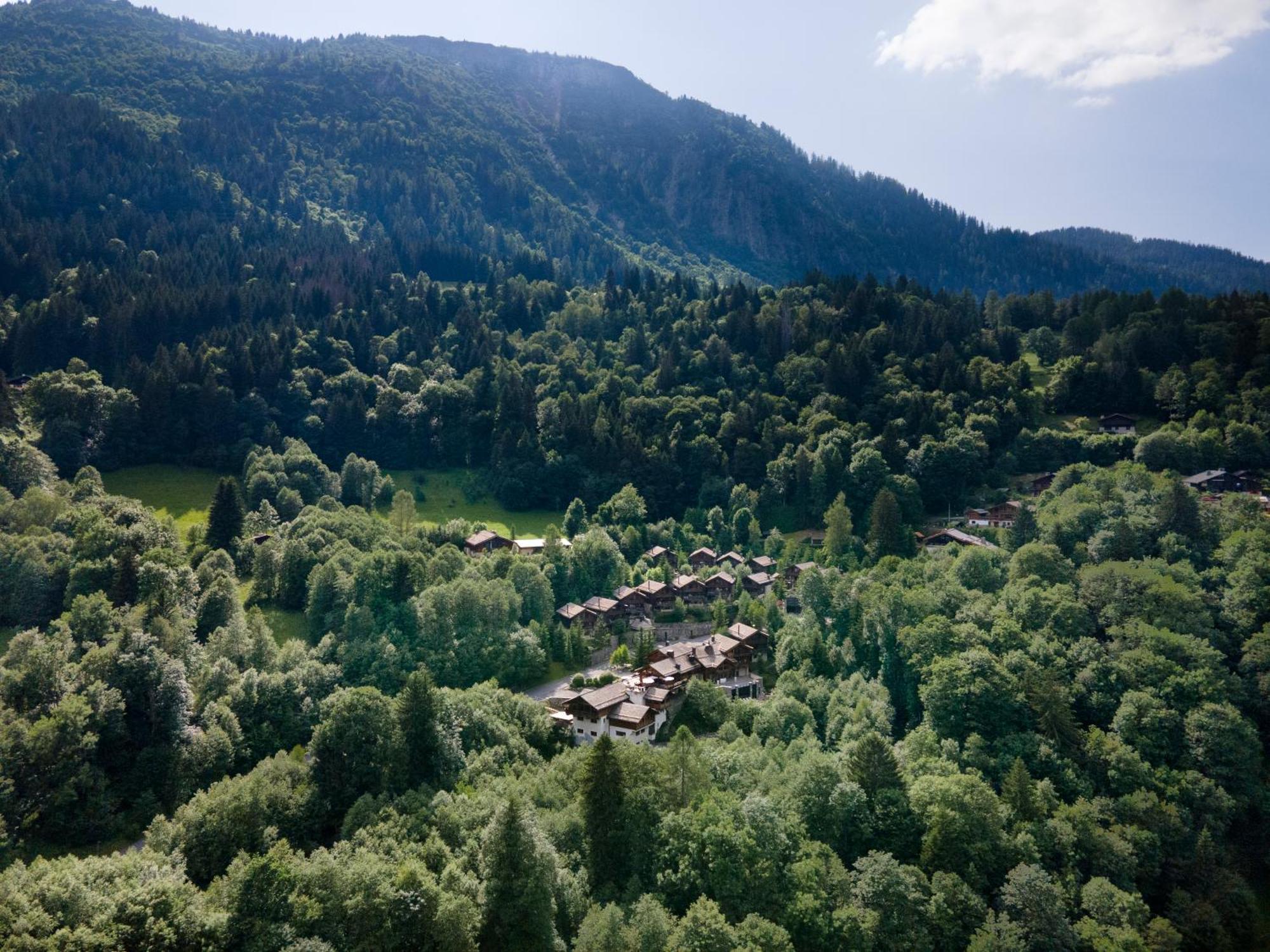 Les Granges D'En Haut - Chamonix אוש מראה חיצוני תמונה